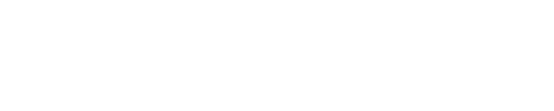 Logo The Seller